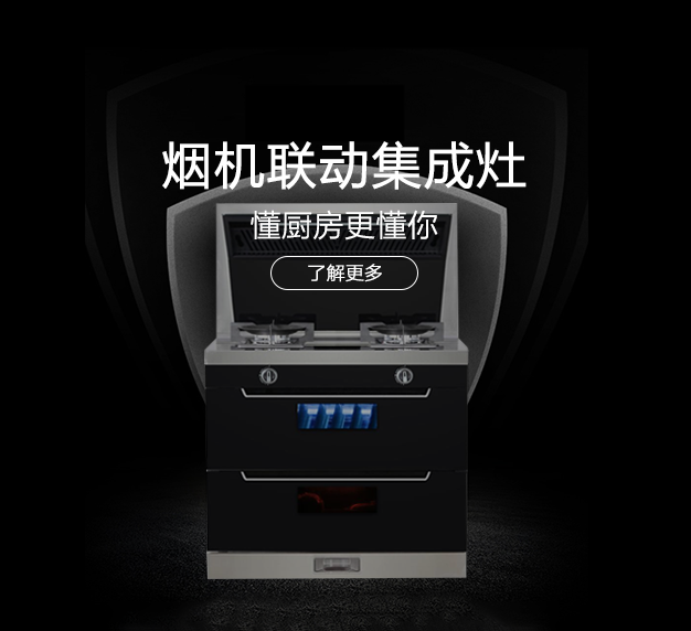 公司所生產(chǎn)銷售的燃?xì)庠罹弋a(chǎn)品，在行業(yè)里始終處于領(lǐng)先地位，也是灶具行業(yè)里比較突出的OEM制造企業(yè)